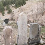Споменик Стевану Радељићу на гробљу на Рудини у Шљивовици (фото Бојан Радојичић)