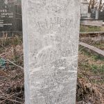 Споменик Радисаву Милосављевићу на гробљу на Рудини у Шљивовици (фото Бојан Радојичић)