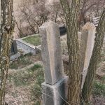 Споменик Витору Милојевићу на гробљу на Рудини у Шљивовици (фото Бојан Радојичић)