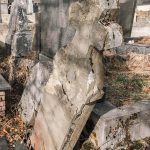 Споменик Алимпију Томићу на гробљу у Саиновини, Шљивовица (фото Бојан Радојичић)