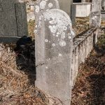 Споменик Борисаву и Ранку Каљевићима на гробљу у Саиновини, Шљивовица (фото Бојан Радојичић)
