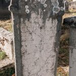 Споменик Радоју Каљевићу на гробљу у Саиновини, Шљивовица (фото Бојан Радојичић)