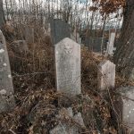 Споменик Драгутину Бонџулићу на гробљу у Саиновини, Шљивовица (фото Бојан Радојичић)