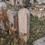 Споменик Драгићу Костадиновићу на гробљу у Саиновини, Шљивовица (фото Бојан Радојичић)