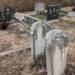 Споменик Радоју Костадиновићу на гробљу у Саиновини, Шљивовица (фото Бојан Радојичић)