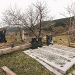 Вранешевића гробље у Доброселици (фото Бојан Радојичић)