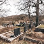 Жиловића гробље у Голову (фото Бојан Радојичић)