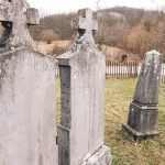 Споменик Сави Г. Жиловићу на Жиловића гробљу у Голову (фото Бојан Радојичић)