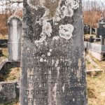 Споменик Бранку и Живану Жиловићима на Жиловића гробљу у Голову (фото Бојан Радојичић)