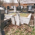 Споменик Љубомиру Бисићу гробљу у Голову (фото Бојан Радојичић)