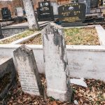 Споменик Љубомиру Бисићу гробљу у Голову (фото Бојан Радојичић)