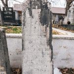 Споменик Љубомиру Бисићу гробљу у Голову (фото Бојан Радојичић)