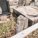 Споменик Љубомиру Бисићу гробљу у Голову (фото Бојан Радојичић)
