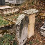 Споменик Светозару Ђедовићу на гробљу у Доњој Мали, Гостиље (фото Бојан Радојичић)