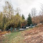 Чубраковића гробље у Доњем Љубишу (фото Бојан Радојичић)