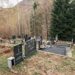 Чубраковића гробље у Доњем Љубишу (фото Бојан Радојичић)