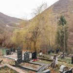 Чубраковића гробље у Доњем Љубишу (фото Бојан Радојичић)