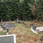 Чубраковића гробље у Доњем Љубишу (фото Бојан Радојичић)