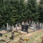 Чубраковића гробље у Доњем Љубишу (фото Бојан Радојичић)