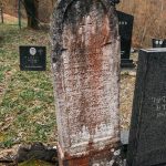 Споменик Милосаву Чубраку на Чубраковића гробљу у Доњем Љубишу (фото Бојан Радојичић)