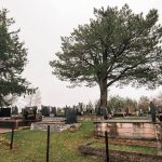Гробље на Смиљанића брду, Љубиш (фото Бојан Радојичић)