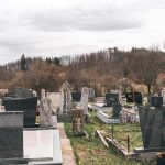 Радибратовића гробље у Рожанству (фото Бојан Радојичић)