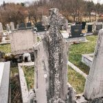 Споменик Михаилу Радибратовићу на Радибратовића гробљу у Рожанству (фото Бојан Радојичић)