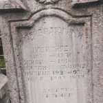 Споменик Живку Радибратовићу на Радибратовића гробљу у Рожанству (фото Бојан Радојичић)