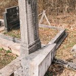Споменик Драгомиру С. Бојовићу на Чичковском гробљу у Сирогојну (фото Бојан Радојичић)