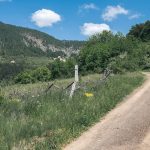 Крајпуташ Дамљану Бакићу у Јабланици (фото Бојан Радојичић)