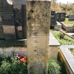 Споменик Радомиру Бојићу на гробљу у Бакионици (фото Бојан Радојичић)