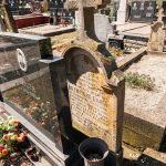 Споменик Војиславу Бојићу на гробљу у Бакионици (фото Бојан Радојичић)