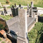 Споменик Воимиру Дашевићу на гробљу у Бакионици (фото Бојан Радојичић)