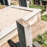 Споменик Лазару Лазаревићу на гробљу у Бакионици (фото Бојан Радојичић)