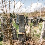 Споменик Миловану Котарцу на гробљу у Бакионици (фото Бојан Радојичић)