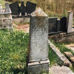 Споменик Живку и Велисаву Бабићима на гробљу у Бакионици (фото Бојан Радојичић)