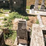 Споменик Светозару Манојловићу на гробљу у Бакионици (фото Бојан Радојичић)