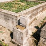 Споменик Светозару Манојловићу на гробљу у Бакионици (фото Бојан Радојичић)