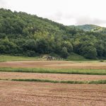 Гробље у Честобродици (фото Бојан Радојичић)