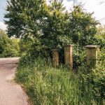 Крајпуташи код гробља на Мандиној стени у Честобродици (фото Бојан Радојичић)