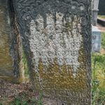 Споменик Јеврему Костићу на Жудовачком гробљу у Честобродици (фото Бојан Радојичић)