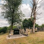 Богдановића гробље у Доњој Добрињи (фото Бојан Радојичић)