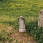 Споменик Илији Божовићу на Коларевића гробљу у Доњој Добрињи (фото Бојан Радојичић)