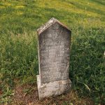 Споменик Илији Божовићу на Коларевића гробљу у Доњој Добрињи (фото Бојан Радојичић)