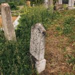 Споменик Илији Божовићу на Коларевића гробљу у Доњој Добрињи (фото Бојан Радојичић)