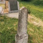 Споменик Драгољубу Павловићу на Коларевића гробљу у Доњој Добрињи (фото Бојан Радојичић)