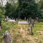 Лађевачко гробље у Доњој Добрињи (фото Бојан Радојичић)