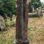Споменик Илији Лађевцу на Лађевачком гробљу у Доњој Добрињи (фото Бојан Радојичић)