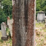 Споменик Илији Лађевцу на Лађевачком гробљу у Доњој Добрињи (фото Бојан Радојичић)