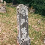 Споменик Илији Лађевцу на Лађевачком гробљу у Доњој Добрињи (фото Бојан Радојичић)